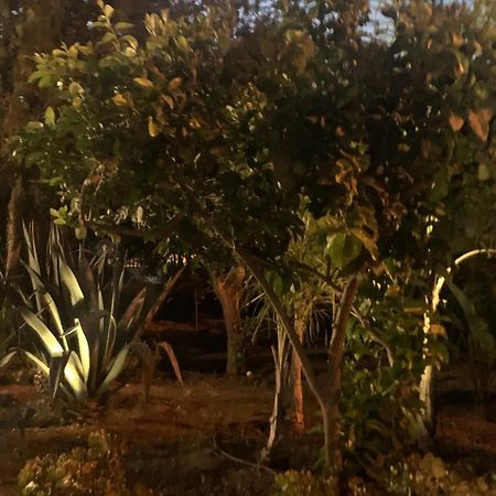 Casa Vacanze Astori トラビーア エクステリア 写真