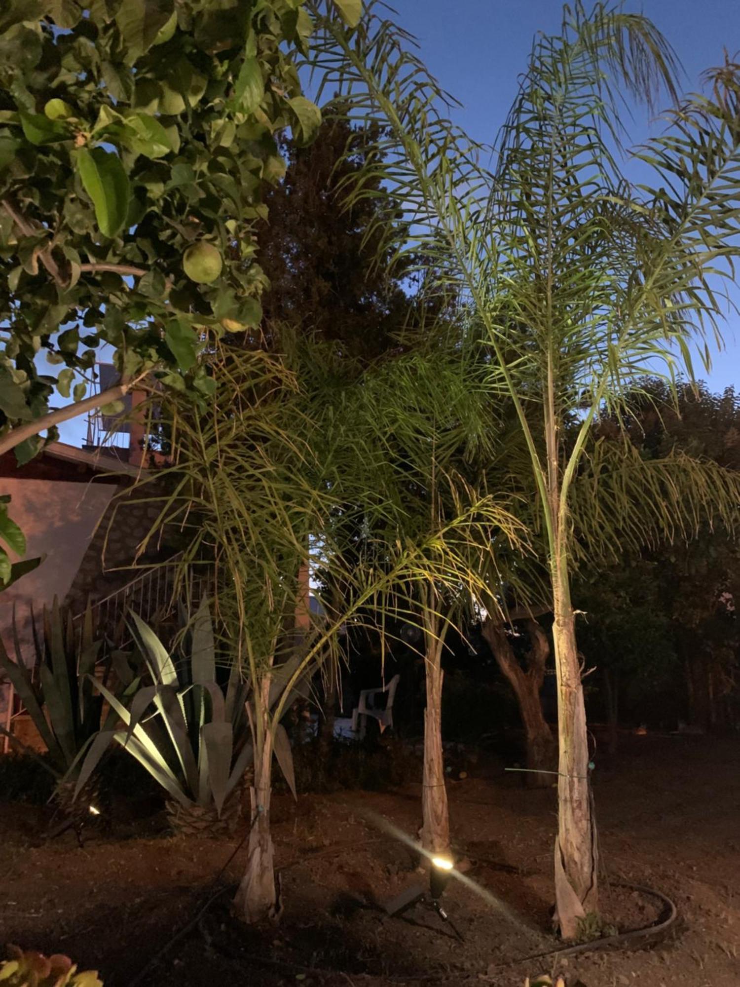 Casa Vacanze Astori トラビーア エクステリア 写真